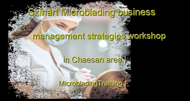 Skinart Microblading business management strategies workshop in Chaesan area | MicrobladingTraining | MicrobladingClasses | SkinartTraining-Republic of Korea